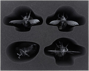 Feldherr Storage Box for Maggotkin of Nurgle