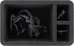 HS120A003 Feldherr foam tray for Arkhan the Black