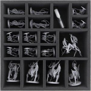 Feldherr Storage Box LBBG250 for Nemesis: Carnomorphs + Aftermath + Void Seeders + Terrain Expansion