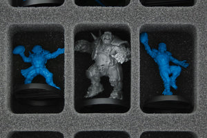 Feldherr MEDIUM bag for Blood Bowl miniatures - 2016 edition